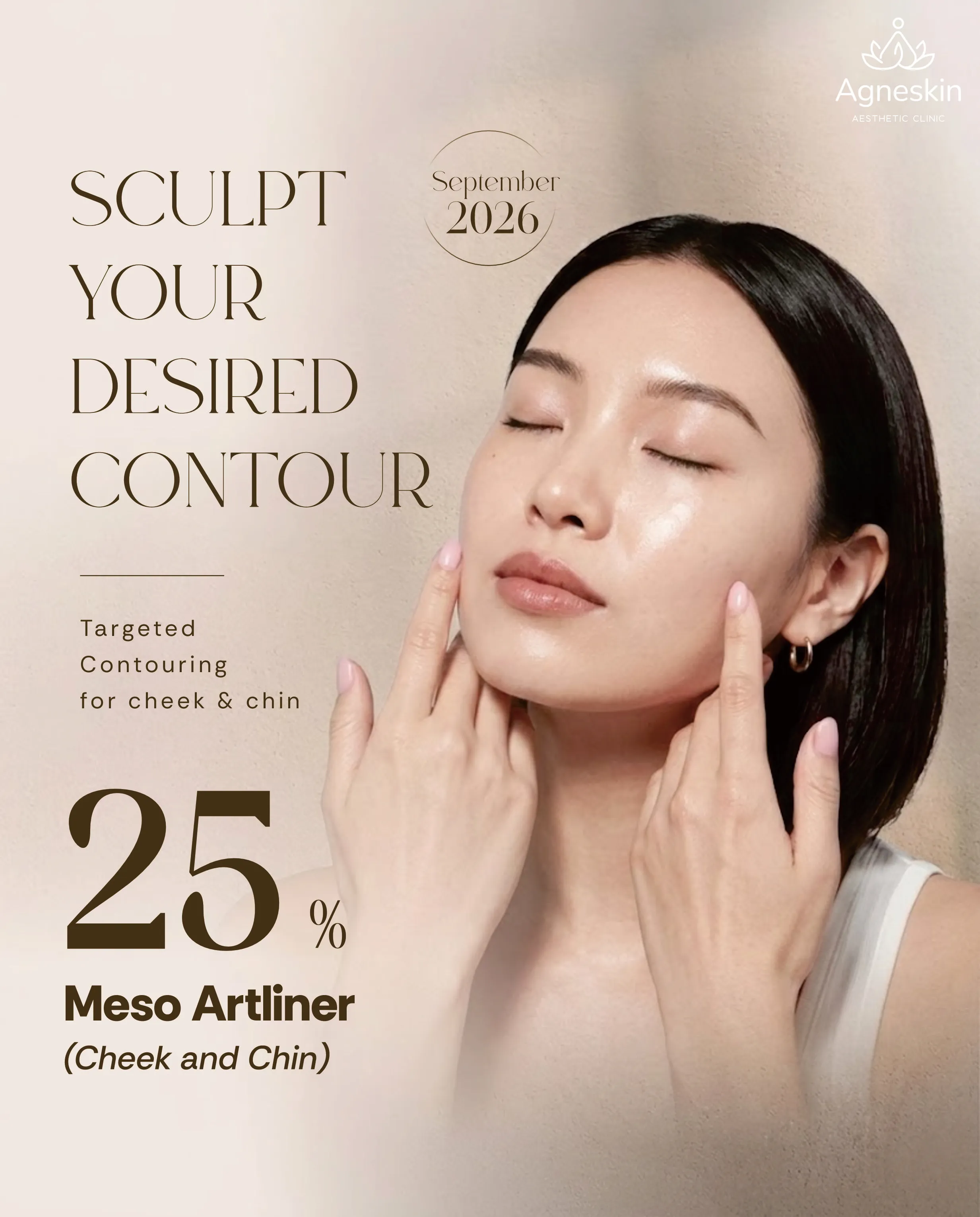 Promo diskon 25% Meso Artliner cheek & chin